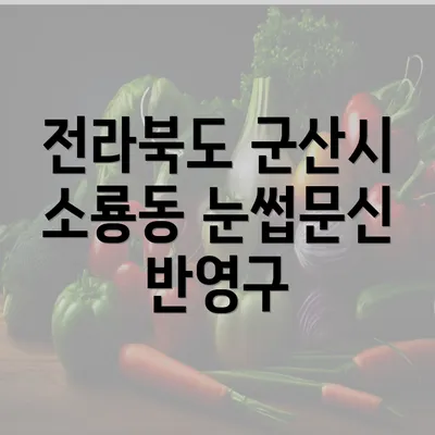 전라북도 군산시 소룡동 눈썹문신 반영구