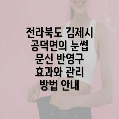 전라북도 김제시 공덕면의 눈썹 문신 반영구 효과와 관리 방법 안내