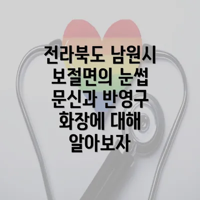 전라북도 남원시 보절면의 눈썹 문신과 반영구 화장에 대해 알아보자