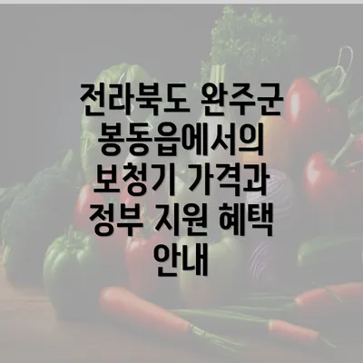 전라북도 완주군 봉동읍에서의 보청기 가격과 정부 지원 혜택 안내