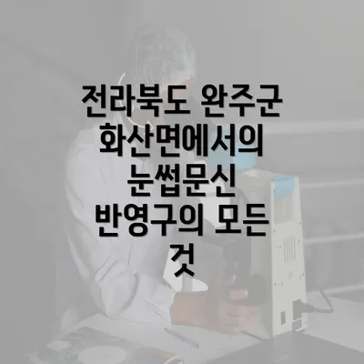 전라북도 완주군 화산면에서의 눈썹문신 반영구 시술의 장점