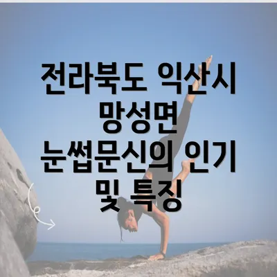 전라북도 익산시 망성면 눈썹문신의 인기 및 특징