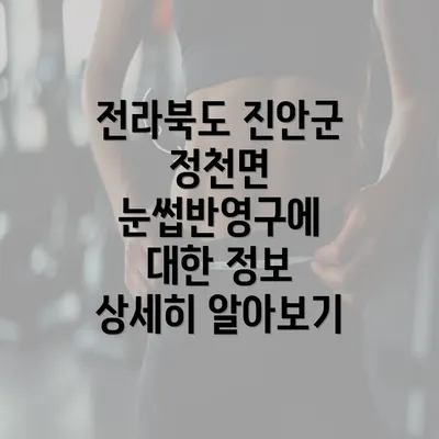 전라북도 진안군 정천면 눈썹반영구에 대한 정보 상세히 알아보기