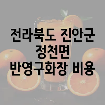 전라북도 진안군 정천면 반영구화장 비용