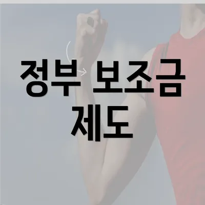 정부 보조금 제도