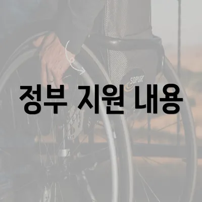 정부 지원 내용