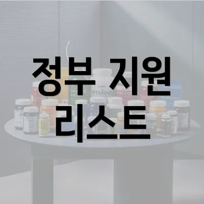 정부 지원 리스트