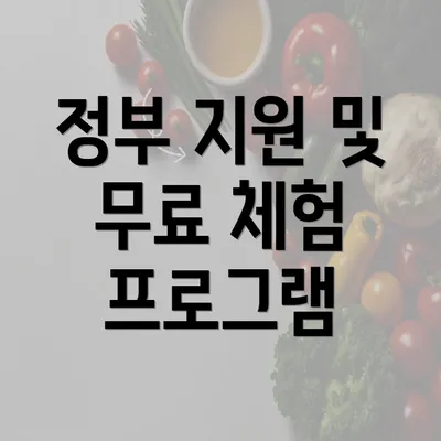 정부 지원 및 무료 체험 프로그램