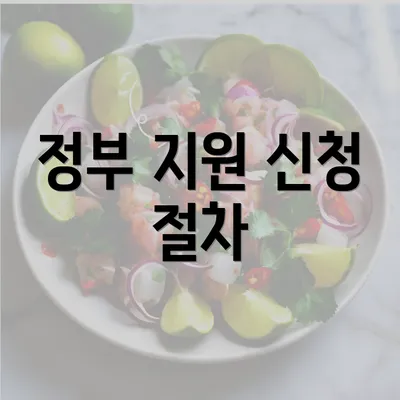 정부 지원 신청 절차