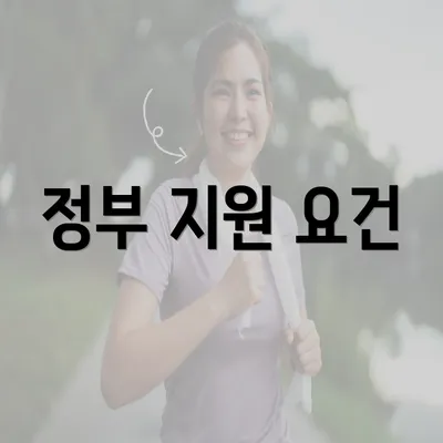 정부 지원 요건