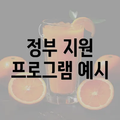 정부 지원 프로그램 예시