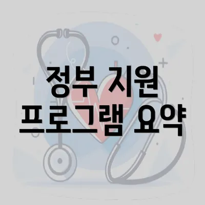 정부 지원 프로그램 요약