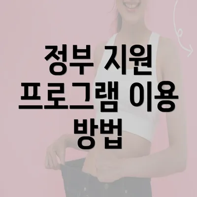 정부 지원 프로그램 이용 방법