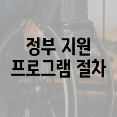 정부 지원 프로그램 절차