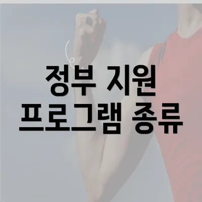 정부 지원 프로그램 종류