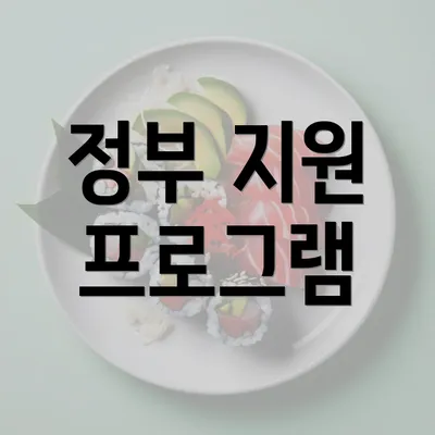 정부 지원 프로그램