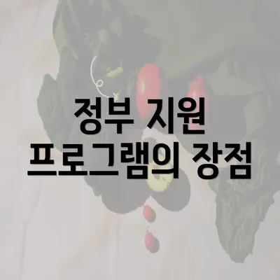 정부 지원 프로그램의 장점