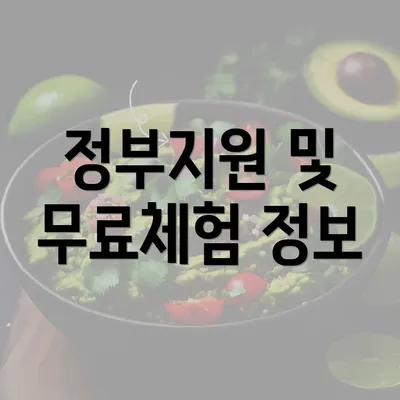 정부지원 및 무료체험 정보