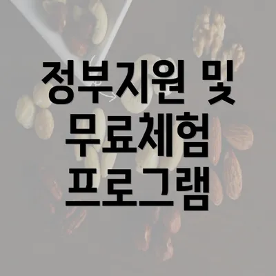 정부지원 및 무료체험 프로그램