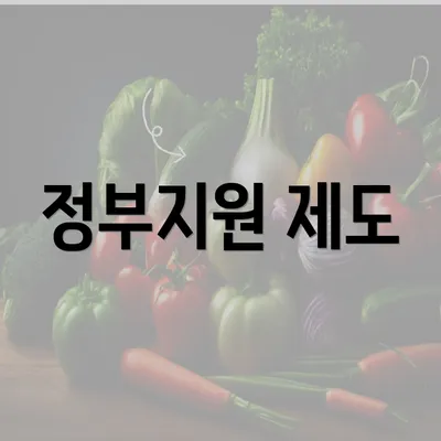 정부지원 제도