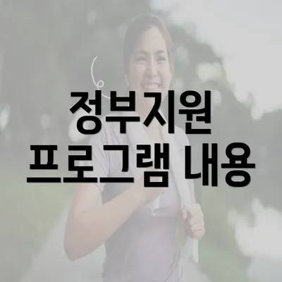 정부지원 프로그램 내용