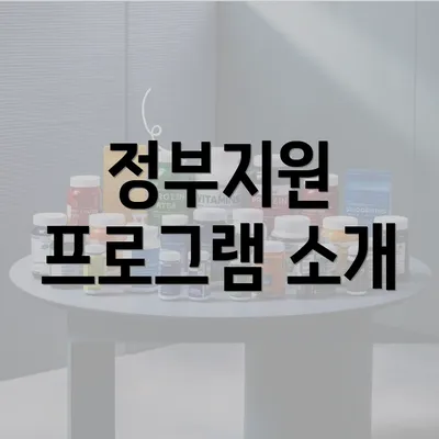 정부지원 프로그램 소개