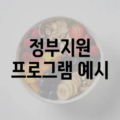 정부지원 프로그램 예시