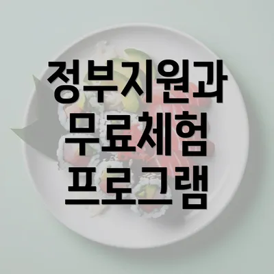 정부지원과 무료체험 프로그램