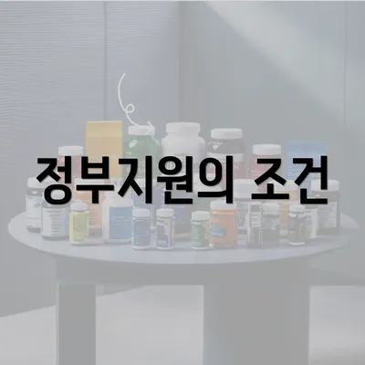 정부지원의 조건