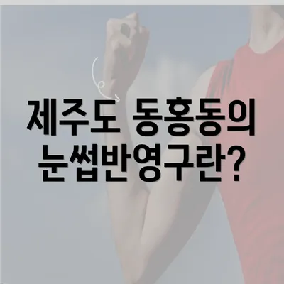 제주도 동홍동의 눈썹반영구란?