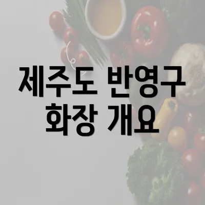 제주도 반영구 화장 개요