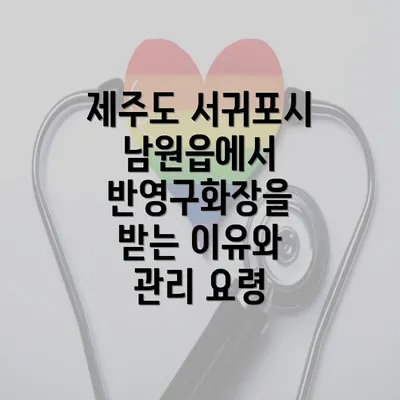 제주도 서귀포시 남원읍에서 눈썹 반영구 시술 후 관리 요령