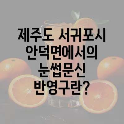 제주도 서귀포시 안덕면에서의 눈썹문신 반영구란?