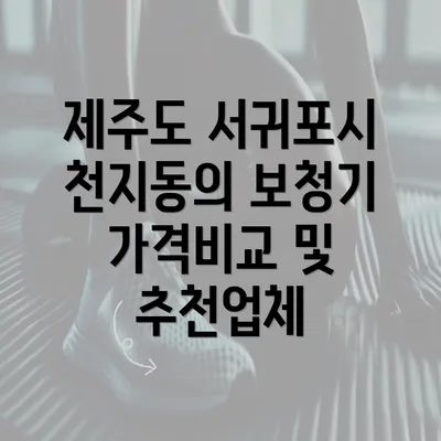 제주도 서귀포시 천지동의 보청기 가격비교 및 추천업체