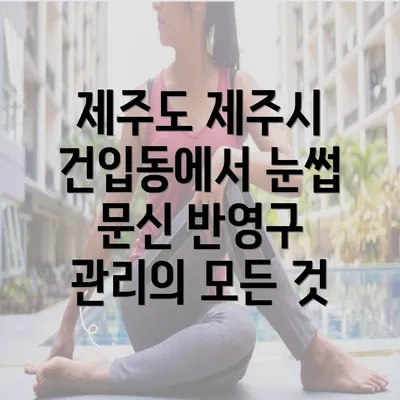 제주도 제주시 건입동에서 눈썹 문신 반영구 관리의 모든 것