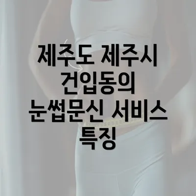 제주도 제주시 건입동의 눈썹문신 서비스 특징