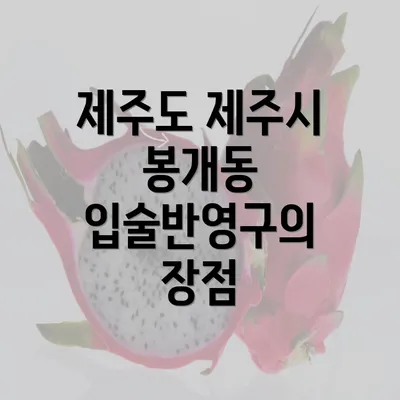 제주도 제주시 봉개동 입술반영구의 장점