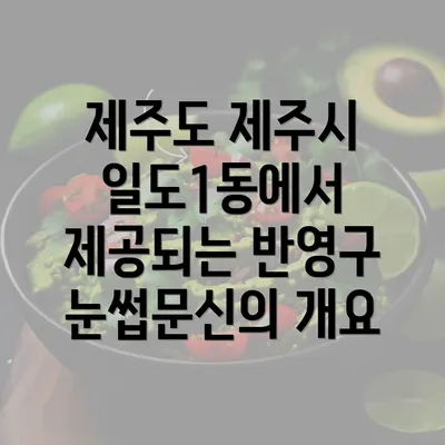 제주도 제주시 일도1동에서 제공되는 반영구 눈썹문신의 개요