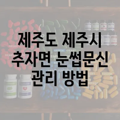 제주도 제주시 추자면 눈썹문신 관리 방법