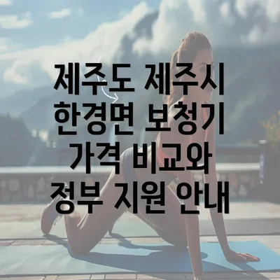 제주도 제주시 한경면 보청기 가격 비교와 정부 지원 안내