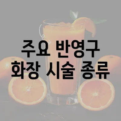 주요 반영구 화장 시술 종류