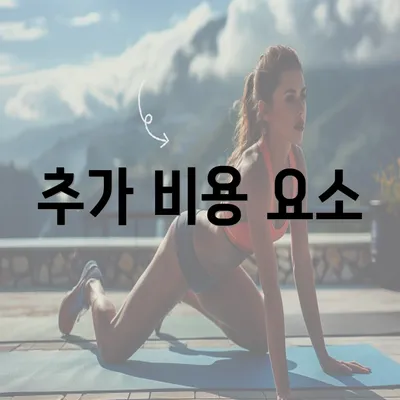 추가 비용 요소