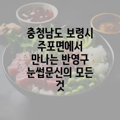 충청남도 보령시 주포면에서 만나는 반영구 눈썹문신의 모든 것