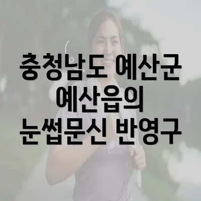 충청남도 예산군 예산읍의 눈썹문신 반영구