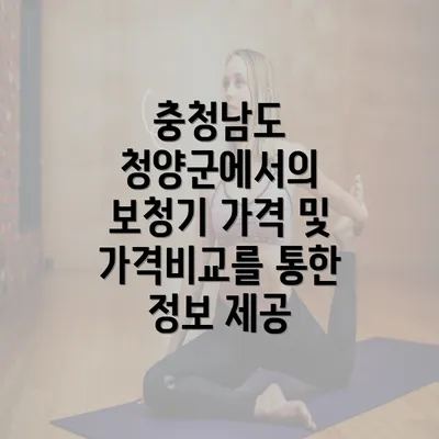 충청남도 청양군에서의 보청기 가격 및 정부 지원 프로그램에 대한 안내