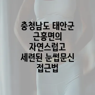 충청남도 태안군 근흥면의 자연스럽고 세련된 눈썹문신 접근법