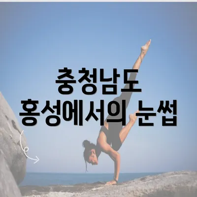 충청남도 홍성에서의 눈썹