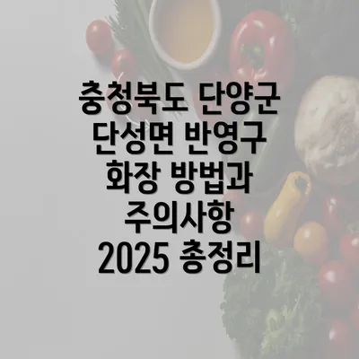 충청북도 단양군 단성면 반영구 화장 방법과 주의사항 2025 총정리