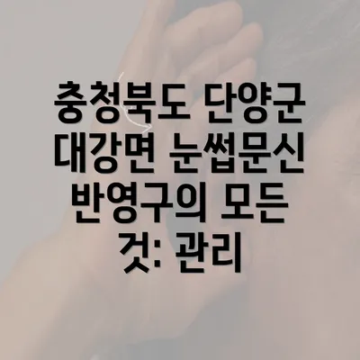 충청북도 단양군 대강면 눈썹문신 반영구의 모든 것: 관리