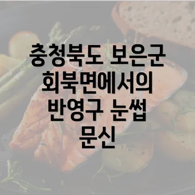 충청북도 보은군 회북면에서의 반영구 눈썹 문신